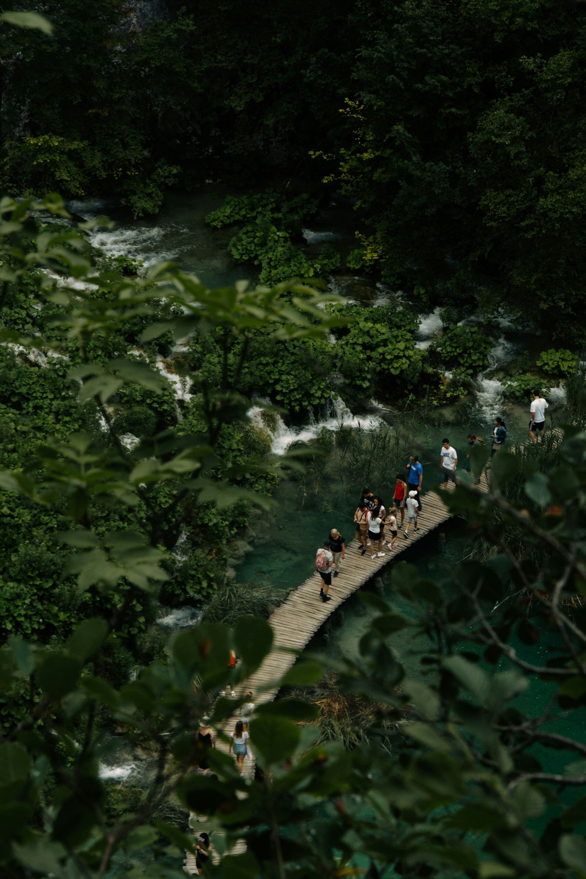 Capture the authentic charm of Can Tho’s eco-tourism